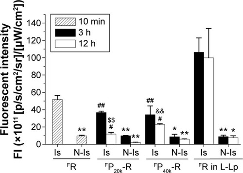 Figure 4 Changes in the fluorescent intensity of drugs with time postdose in infarcted myocardium (Is) and noninfarcted myocardium (N-Is) of IR rats.Notes: For direct comparison among groups, the fluorescent intensities of FP20k-R and FP40k-R were converted to ones equivalent to FR via the molar fluorescent ratios of FP20k-R and FP40k-R to FR, which are 1.15 and 0.737, respectively. **P<0.01, *P<0.05, compared with Is at the same time point; ##P<0.01, #P<0.05, compared with L-Lp in Is at the same time point; &&P<0.01, compared with FP20k-R in Is at the same time point; $$P<0.01, compared with FP20k-R in Is at 3 hours.Abbreviations: IR, ischemia/reperfusion; FP20k-R, FITC-labeled 20-kDa PEG mono-modified ROP; FP40k-R, FITC-labeled 40-kDa PEG mono-modified ROP; FR, FITC-labeled ROP; L-Lp, long-circulating liposomes; min, minutes; h, hour; FITC, fluorescein isothiocyanate; PEG, polyethylene glycol; ROP, Radix Ophiopogonis polysaccharide.