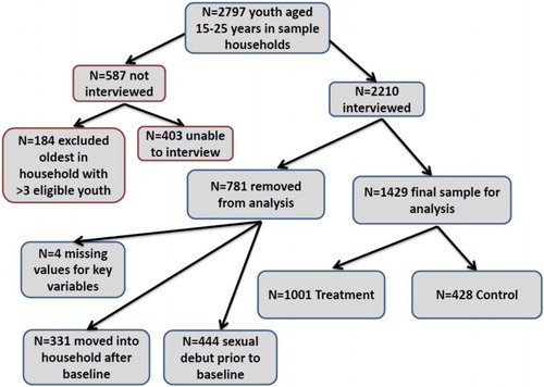 Figure 2. Overview of youth sample, Kenya OVC-CT, 2011.