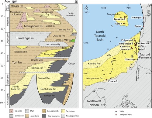 Figure 4. A chronostratigraphic chart illustrating the formational stratigraphy and facies distribution for a SE to NW cross-section in Taranaki Basin modified from NZPM (Citation2014, p. 29). To the right is a Late Eocene (35 Ma) simplified paleogeographic map of Taranaki Basin also from NZPM (Citation2014, p. 25). The facies key applies to both figures. This map shows the limits of the Early Eocene Kaimiro and Mangahewa formations, comprising coastal plain and shoreface sediments. Taranaki Fault is shown in its present-day position. Petrographic data for Late Cretaceous through to Early Oligocene sediments in Taranaki Basin (e.g. Higgs and King Citation2018; Smithies et al. Citation2019) show that the NW Nelson region was the likely source area of sediment supplied to Taranaki Basin during that interval. Paleogeographic maps (Strogen Citation2011) infer river systems infilling asymmetrical rift basins in southern Taranaki Basin during the Late Cretaceous, followed during the Paleogene by the development of a coastal plain, in which sand was transported by longshore drift from NW Nelson to Taranaki Peninsula. We report and interpret zircon U–Pb age data for the Late Cretaceous North Cape Formation and the Late Eocene to Oligocene Turi, Mangahewa, McKee, Tangaroa and Otaraoa formations in Taranaki Basin. The depositional age of sediments in New Zealand basins are mostly dated biostratigraphically with reference to New Zealand stages, the boundaries of which have been correlated to the numerical timescale (Cooper Citation2004; Raine et al. Citation2015).