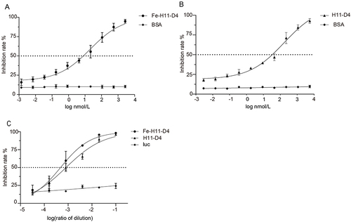 Figure 5 Pseudovirus neutralization test. (A) The half inhibitory concentration of H11-D4 expressed by E. coli was 171.1 nmol-L−1; (B) The half inhibitory concentration of Fe-H11-D4 expressed by E. coli was 20.78 nmol-L−1; (C) The half inhibitory concentration of Fe-H11-D4 expressed by Bombyx mori was 1.46 nmol-L−1.