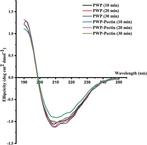 Figure 6. Effects of ALM pectin on secondary structure of polymerized whey proteins prepared by different heating times.Figura 6. Efectos de la pectina ALM en la estructura secundaria de las proteínas de suero polimerizadas y preparadas mediante calentamiento de distinta duración.