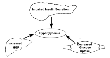 Figure 2 The triumvirate: insulin resistance in liver and muscle with impaired insulin secretion represent the three core defects in T2DM. Reproduced with permission from DeFronzo RA. Lilly lecture. The triumvirate: Beta-cell, muscle, liver. A collusion responsible for NIDDM. Diabetes. 1998;37:667–687.Citation16 Copyright © 1998 American Diabetes Association.