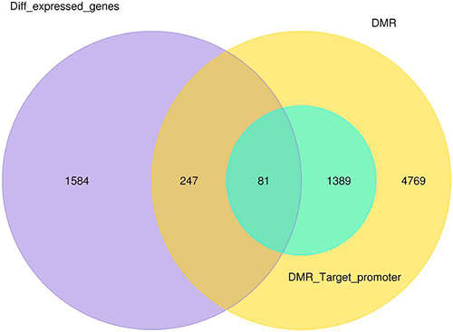 Figure 4 Venn diagram represents the number of differential methylated and expressed gene between normal and breast cancer samples.