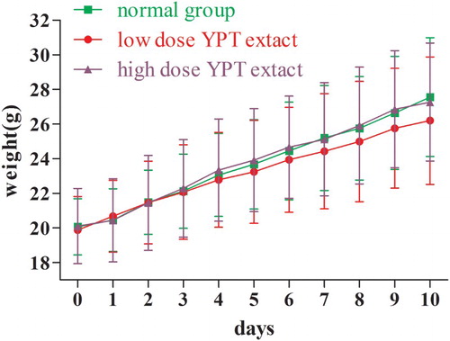 Figure 1. The effect of YPT extract on body weight of normal mice without CY inducement. Note: compared with normal group, both YPT extract group and normal group showed no significant effect on mice weight in normal mice without CY inducement (P > .05).