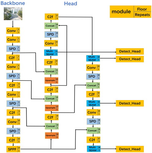 Figure 2. Improved SDMSEAF-YOLOv8 algorithm incorporates BiFPN structure, with SPD module and Multi-Separated and Enhancement Attention Module, which improves the NMS algorithm. Floor: level of each module; repeats: number of times a module is repeated. Conv: Convolution. SPD: Space to depth. MultiSEAM: Multi-Separation and Enhancement Attention Module. C2f: Cross stage partial bottleneck with two convolutions. Upsample: This layer is employed to enlarge the input data to match the dimensions of the target layer. Concat: This is used to connect two or more arrays. Detect_Head: This is used to identify and locate the location of the target and generate the target detection box.