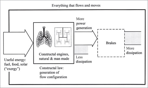 Figure 3. Every non-equilibrium (flow) component of the earth functions as an engine that drives a dissipater (a brake).Citation4 The constructal law governs ‘how’ the system functions: by generating a changing flow architecture that provides greater access over time. The ‘engine’ part evolves in time toward generating more power (or less dissipation) and, as a consequence, the ‘brake’ part evolves toward more dissipation. Evolution means that each flow part assures its life (persistence, survival in time) by freely morphing in a one-way direction in time.