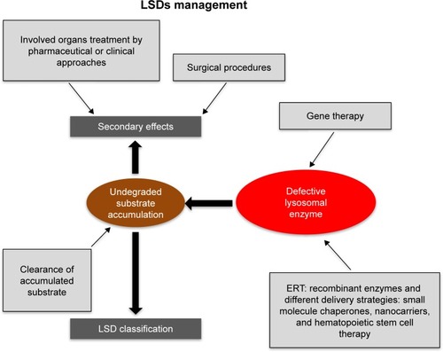 Figure 3 Schematic representation of therapeutic approaches to LSDs.