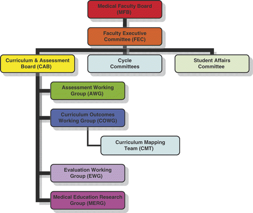 Figure 1. Revised governance structure at the RCSI to support curriculum reform.