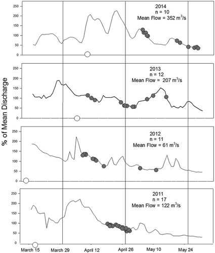 FIGURE 4. Alabama Shad movements ≥ 20 km in relation to percentage of mean daily discharge for the period from March 15 to May 31 during 2011–2014. Hollow circles on the x-axis represent stocking date(s). Data from 2010 are omitted due to low number of relocations. Dates on the x-axis are given for reference only and do not necessarily represent days that telemetry efforts occurred.