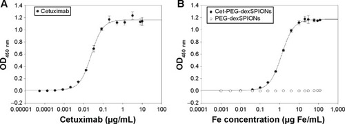 Figure 3 EGFRvIII-ECD-hFc binding determined by enzyme-linked immunosorbent assay.Notes: Soluble EGFRvIII-ECD-hFc was coated on enzyme-linked immunosorbent assay plates, and binding of cetuximab (A) or cetuximab-functionalized and non-functionalized iron oxide nanoparticles (B) was detected using a horseradish peroxidase-conjugated goat anti-human kappa light chain antibody. The concentrations tested ranged from 1.34×10−4 to 10 μg/mL for the anti-EGFR monoclonal antibody cetuximab and from 6.4×10−4 to 120 μg Fe/mL for cet-PEG-dexSPIONs and PEG-dexSPIONs. The EC50 was 0.0242 and 0.0646 μg/mL for cetuximab and cet-PEG-dexSPIONs, respectively. Each point represents the mean ± standard deviation of three determinations.Abbreviations: cet, cetuximab; dex, dextran; ECD, extracellular domain; EGFR, epithelial growth factor receptor; OD, optical density; PEG, polyethylene glycol; SPIONs, superparamagnetic iron oxide nanoparticles.