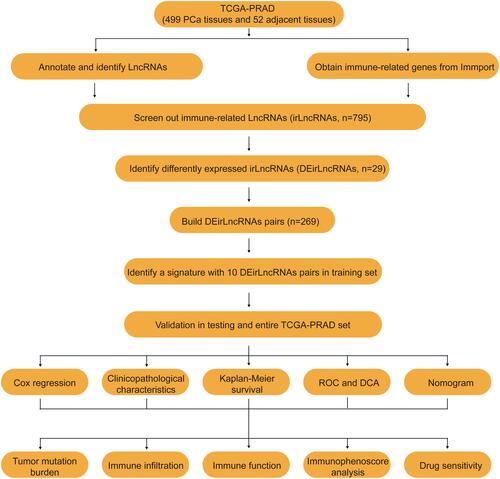 Figure 1 The flow diagram of this study.