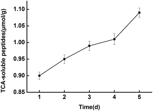 Figure 2. Changes in TCA-soluble peptide contents of fish during cold storage at 4°C.