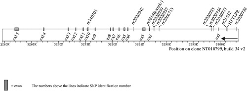 Figure 1. Structure ofSLC6A4 gene and polymorphisms analyzed.