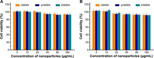 Figure 6 Viability of MDA-MB-231 cells (A) and human umbilical vein endothelial cells (B) after incubation with HMSN, pHMSN, and tHMSN for 48 hours (n=3).Abbreviations: HMSN, hollow mesoporous silica nanoparticles; tHMSN, tLyp-1 and polyethylene glycol co-modified HMSN; pHMSN, polyethylene glycol-modified HMSN.