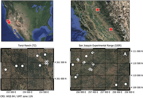 Figure 1. Location and aerial views of Tonzi Ranch and the San Joaquin Experimental Range. Circles and crosses indicate the locations where Digital Hemispherical Photographs (DHP) and leaf collection took place, respectively. Images obtained from Google Maps.