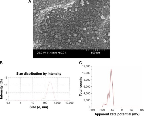 Figure 1 Physicochemical characterization of OMPs-F-PNPs.Notes: (A) FESEM analyses (60 k; 500 nm scale bar). (B) Average particle size distribution (215 nm and PDI 0.2). (C) Average zeta potential distribution (−38 mV). OMPs-F-PNPs, OMPs and F-protein-entrapped and surface F-protein-coated PNPs.Abbreviations: F, flagellar; OMPs, outer membrane proteins; PDI, polydispersity index; PNPs, polyanhydride nanoparticles; FESEM, field emission scanning electron microscope.
