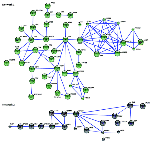 Figure 4. Sixty-seven of the differentially methylated genes in PGA interact in two networks. Network 1 contains 47 neuroactive ligand interactions as the key pathway, while the cluster of 20 genes in Network 2 is mostly relevant to proteolysis-related pathways. Known and predicted protein-protein interactions were identified at a confidence score > 0.7. Only the networks with at least a node consisting of more than 3 neighbors are displayed.