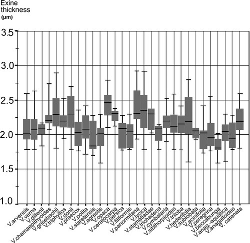 Figure 4. Graphic test for median comparisons of exine thickness for all species studied.