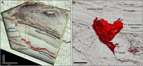 Figure 13. Examples of intrusions and vents of the Miocene Waka volcanics. (a) Amplitude opacity rendered seismic volume (Waka-3D) revealing a number of intrusions emplaced into Paleocene sedimentary strata and vents erupted onto the Miocene paleo-sea-bed. Note the spatial relationship between the intrusive bodies and vents. (b) Geobody extraction of a saucer-shaped intrusion showing its geometry, relationship with enclosing strata, conduits, and co-genetic eruptive vents. Modified from Bischoff and Nicol (Citation2019).