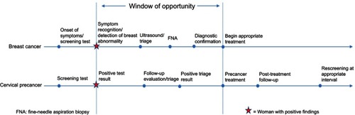 Figure 1 Window of opportunity in continuum of care for breast and cervical cancer prevention.