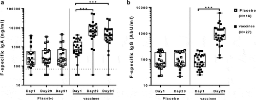 Figure 1. IgG and IgA systemic antibody responses to an adjuvanted investigational RSV sF vaccinee. Data were derived from 27 vaccinee and 18 placebo-recipients 60 to 88 years of age. The boxplots and whiskers represent the minimum, 1st quartile, median, 3rd quartile and maximum values. Panel A shows individual F-specific IgA plasma antibody responses. The dotted line represents the lower limit of quantitation (LLOQ) (68.6 ng/ml). Day 29 and 91 results were significantly higher than baseline in vaccinees (p ≤ 0.001), but not in placebo recipients. Panel B shows individual F-specific IgG responses in vaccine and placebo-recipients before (day 1) and after vaccination (day 29). The F-specific IgG concentrations were >LLOQ (0.66 Ab U/ml) for all subjects. Day 29 results were significantly higher than baseline in vaccinees (p ≤ 0.001), but not in placebo recipients