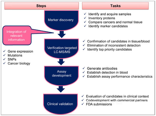 Figure 2 All stages from discovery to clinical usage of cancer biomarkers.