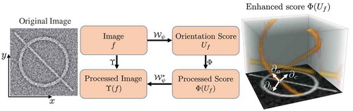 Figure 2. The whole routine of achieving elongated structure enhancement operation Υ via left-invariant operation Φ based on the locally adaptive frame ∂a,∂b,∂c. The exponential curve fit provides the LAD frame with full alignment to local structures. An orientation score Uf:=Wψf can be constructed from a 2D image f to an orientation score Uf via wavelet-type transform Wψ, where we choose cake wavelets (Bekkers et al. 2014b)) for ψ.
