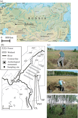Figure 1. Location of the Arkaim in Russia (a), locations of archeological monument and sampling sites in the Arkaim (b) and view of sampling sites (c). Sampling sites were a natural forest site (NF) and two fallow grassland sites that had different land-use histories until 1991 and were fallow afterward: continuous cropland (CL): and continuous pasture (PST).Values on contour lines (b) are height above sea level (in meters). The five forest bands in (b) are the remains of windbreakers for cropland. Original map of (a) from the World Factbook (Central Intelligence Agency Citation2011).
