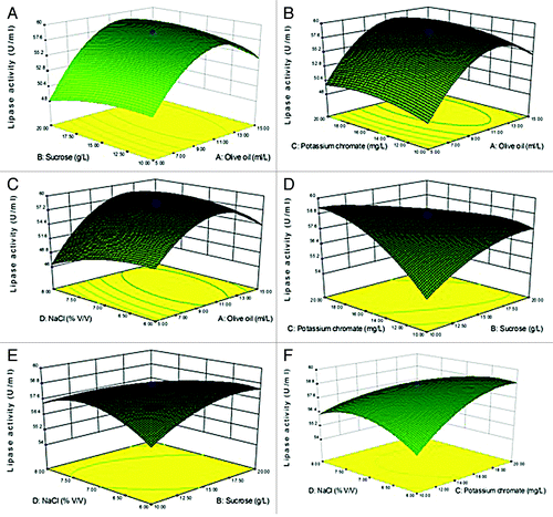 Figure 3. 3-D contour plots of relative enzyme activity with four variables (A: Olive oil, B: Sucrose, C: Potassium chromate, and D: NaCl). (A) Sucrose (g/L) and Olive oil (ml/L), (B) Olive oil (ml/L) and Potassium chromate (mg/L), (C) Olive oil ml/L and NaCl (% v/v), (D) Sucrose (g/L) and Potassium chromate (mg/L), (E) Sucrose (g/L) and NaCl (% v/v), (F) Potassium chromate (mg/L) and NaCl (% v/v).
