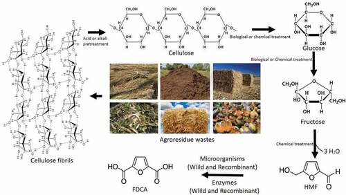 Figure 1. Conversion of agro-residue wastes or biomass into HMF through chemical catalysis followed by FDCA production through biological processes