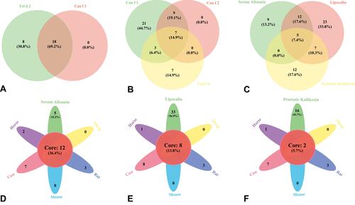 Figure 4 Plot Venn diagrams for serum albumin (A), lipocalin (B), among the three proteins (C), and three proteins link to the extracts from five furry animals (D–F). Core represents the number and proportion of cases where all components are positive.