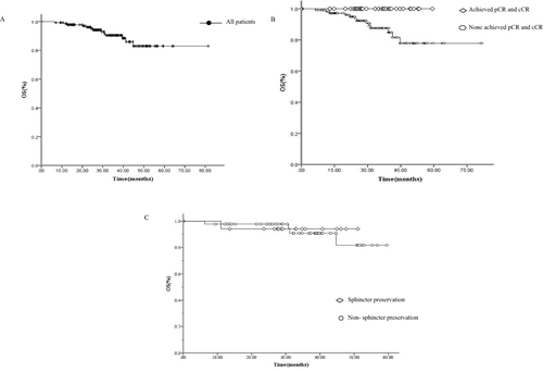 Figure 2 Overall survival (OS). (A) All patients in the study. (B) Achieved pCR vs None achieved pCR, P = 0.013. (C) Sphincter preservation vs Non- sphincter preservation in patients with low rectal cancer, P = 0.740.