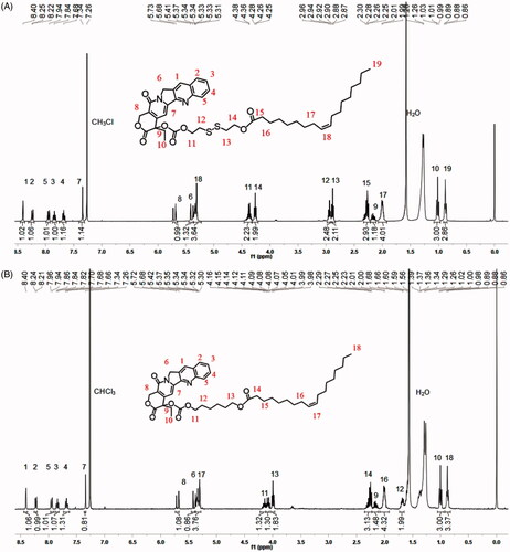 Figure 1. 1H-NMR of CPT-SS-OA(A) and CPT-OA (B).