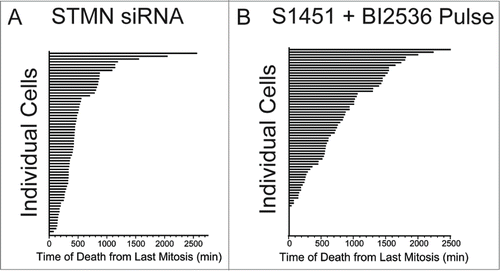 Figure 3. Cell death occurs asynchronously and over several days for cells depleted of stathmin or pulsed with AURKA and PLK1 inhibitors to delay mitotic entry. Time is plotted from the completion of the last mitosis to the initiation of cell death as detected by morphological changes observed from long term live cell recordings. Data shown are for Hela cells treated with (A) stathmin depletion or (B) synchronized and pulsed with a combination of 300 nM S1451 and 0.8 nM BI2536. Each horizontal bar represents an individual cell. Cells dying at a time of zero reflect cells that died during mitosis.