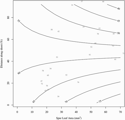 Figure 7. Contour plot showing the fitted trend surface for fruit fresh weight (represented by the contour lines in grams) based on the relationship between leaf area at the fruiting node immediately after fruit harvest (mm2) and the position of the fruit along the shoot (distance from shoot base as a percentage of length) on 1-year-old wood of ‘CluthaGold’ apricots. Raw data points are shown in grey.