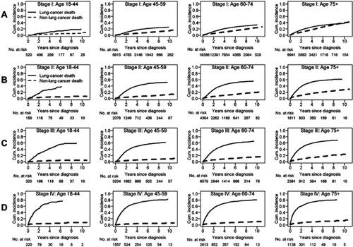 Figure S2 Crude mortality due to cancer and noncancer causes by age group for patients with stage I (A), stage II (B), stage III (C), and stage IV (D) non-small cell lung cancer among patients who underwent surgery.Abbreviation: Cum. incidence, cumulative incidence.