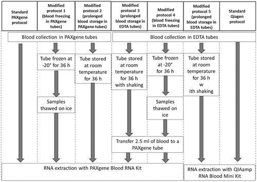 Figure 1. Schematic representation of the experimental procedures.