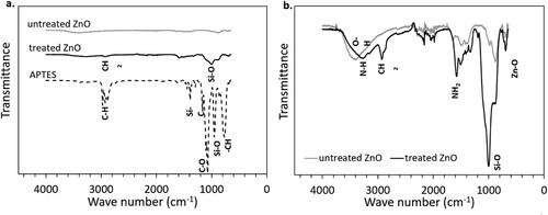 Figure 3. FTIR spectra: (a) untreated ZnO, treated ZnO and APTES; and (b) untreated ZnO and treated ZnO.