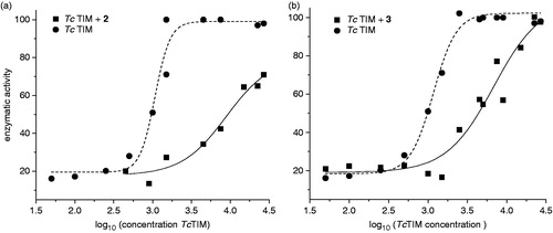 Figure 3. Effects of compounds 2 and 3 on the stability of TcTIM. (a) The enzyme was incubated at the indicated concentrations for 2 h at 37 °C with (▪) and without (•) 26 µM of compound 2 and the activity of each of the samples was measured. (b) The enzyme was incubated at the indicated concentrations for 2 h at 37 °C with (▪) and without (•) 13 µM of compound 3 and the activity of each samples was measured.