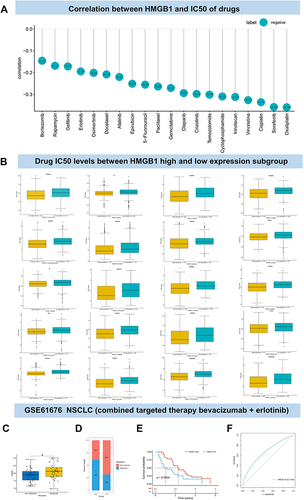 Figure 8 Association between HMGB1 expression and anti-tumor drug sensitivity. (A) Association between HMGB1 expression levels and IC50 of anti-tumor drugs. (B) Comparison of IC50 of anti-tumor drugs between HMGB1 high and low expression subgroup. (C) Comparison of HMGB1 levels in advanced non-small cell lung cancer patients with response and non-response to bevacizumab combined with erlotinib therapy. (D) Proportion of HMGB1 response to bevacizumab combined with erlotinib in high and low HMGB1 expression subgroups of advanced non-small cell lung cancer. (E) The survival probabilities of HMGB1-high and low expressing subgroups in patients with advanced non-small cell lung cancer receiving bevacizumab combined erlotinib therapy. (F) ROC analysis for HMGB1 to predict drug efficacy in patients with advanced non-small cell lung cancer receiving bevacizumab combined erlotinib therapy. P > 0.05, < 0.05, < 0.01, < 0.001, and < 0.0001 were presented as “ns”, “*”, “**”, “***”, “****”, respectively.