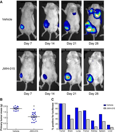 Figure 2 In vivo administration of JWH-015 attenuates primary mammary tumor growth.