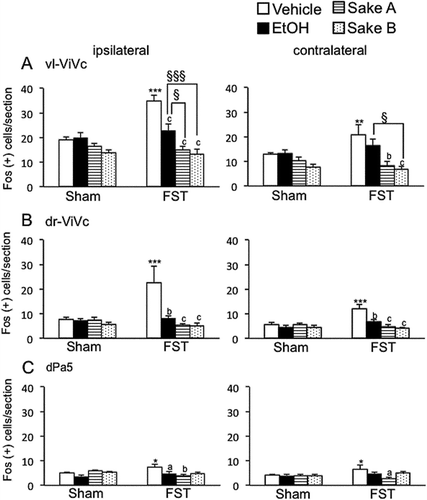 Figure 4. Effects of repeated FS on Fos expression in the rostral Vc regions including vl-Vi/Vc (A). dr-Vi/Vc (B). and dPa5 (C). regions after masseter muscle injection of 5% formalin in comparison to sham rats. The average number of Fos-positive neurons in the three areas of the Vc regions is shown. *P < 0.05, **P < 0.01, ***P < 0.001 vs. sham rats in each treatment groups. a P < 0.05, b P < 0.01, c P < 0.001 vs. vehicle-treated in FS rats. § P < 0.05, §§§ P < 0.001 vs. ethanol-treated in FS rats.