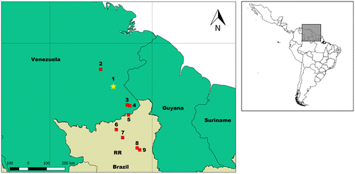 Figure 4. Distribution of S. exiguus in northern South America. Legends: 1 (star) – type locality (km 144 on the Eldorado-Santa Elena de Uairén Road in the Gran Sabana, Bolívar, Venezuela [Citation1]); squares (other localities): 2–4 (records by Gorzula and Señaris [Citation9]) – Piedra del Supamo, Yuruaní/Kukená confluence and Mapaurí, respectively (see these upland localities in their Gazetteer B), 5–9 (localities in Roraima, Brazil): 5 – Pacaraima [Citation11], 6 – Serra do Tepequém (municipality of Amajari [Citation11]), 7 – Estação Ecológica de Maracá (municipality of Amajari [Citation11]), 8 – Boa Vista [Citation2], 9 – Cantá. Source: The Author