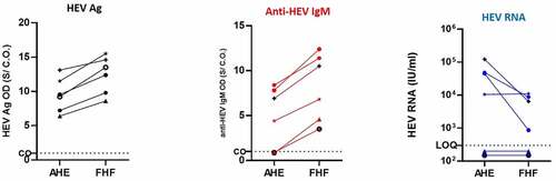 Figure 5. Kinetic of HEV Ag in the patients developed FHF and its correlation to HEV markers. Plasma samples from AHE patients who progressed to FHF (n = 6) were assessed for HEV Ag (black) (a), ant-HEV IgM (red) (b), and HEV RNA (blue) at the time of acute infection and FHF development. The same symbol in (A, B, and C) indicates the same patient, and different color means different marker as described. LOQ: limit of quantification, CO: cut off, and S/CO: signal to cut off