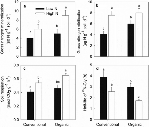 Figure 3. Gross mineralization (a), nitrification (b), soil respiration (c) and Gly turnover rates (d) of organic and conventional soils. Different lower-case letters indicate significant differences between treatments. Values are mean ± SE.