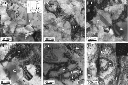 Figure 3. (a) TEM image showing the distribution of dislocations and vanadium carbide precipitates in granular ferrite. The upper inset shows the TEM-EDS spectrum of vanadium carbide precipitates. (b) TEM image showing the distribution of dislocations in lamella ferrite. (c) TEM image showing the small austenite grain. (d) TEM image of large granular austenite grain with high dislocation density. (e) TEM image of large granular austenite grain with dislocation cell structure. (f) TEM image showing the distribution of deformation nanotwins in large granular austenite grains.