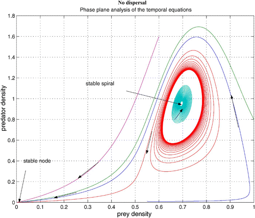 Figure 4. Coexistence steady state is shown to be locally asymptotically stable for system Equation(1) and Equation(2) without dispersal terms and with f(v)=16(1−v)(v−0.5), h(v, n)=v, and δ (n)=0.6+0.1 n. Time step is d t=0.01 and γ=13. Here the coexistence steady state is (v s, n s)=(0.695, 0.952). Available in colour online.