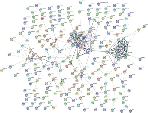 Figure 2. HT-specific PPI networks. Each node represents a protein, while each edge represents one protein–protein association.