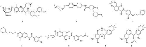 Figure 1. Representative examples of HSP90 C-terminal inhibitors.