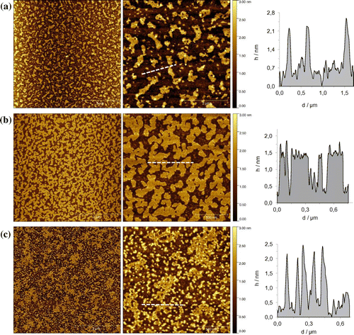 Figure 8. (Colour online) AFM height images in tapping mode with the profile of the white dashed lines. Samples were prepared by spin-coating a solution of 1∙Zn in CHCl3 (a) scale bars 5 and 2 μm, in MCH (0.3% CHCl3, scale bars 5 and 0.5 μm (b) and MCH (0.07% THF, scale bars 5 and 0.5 μm) (c).